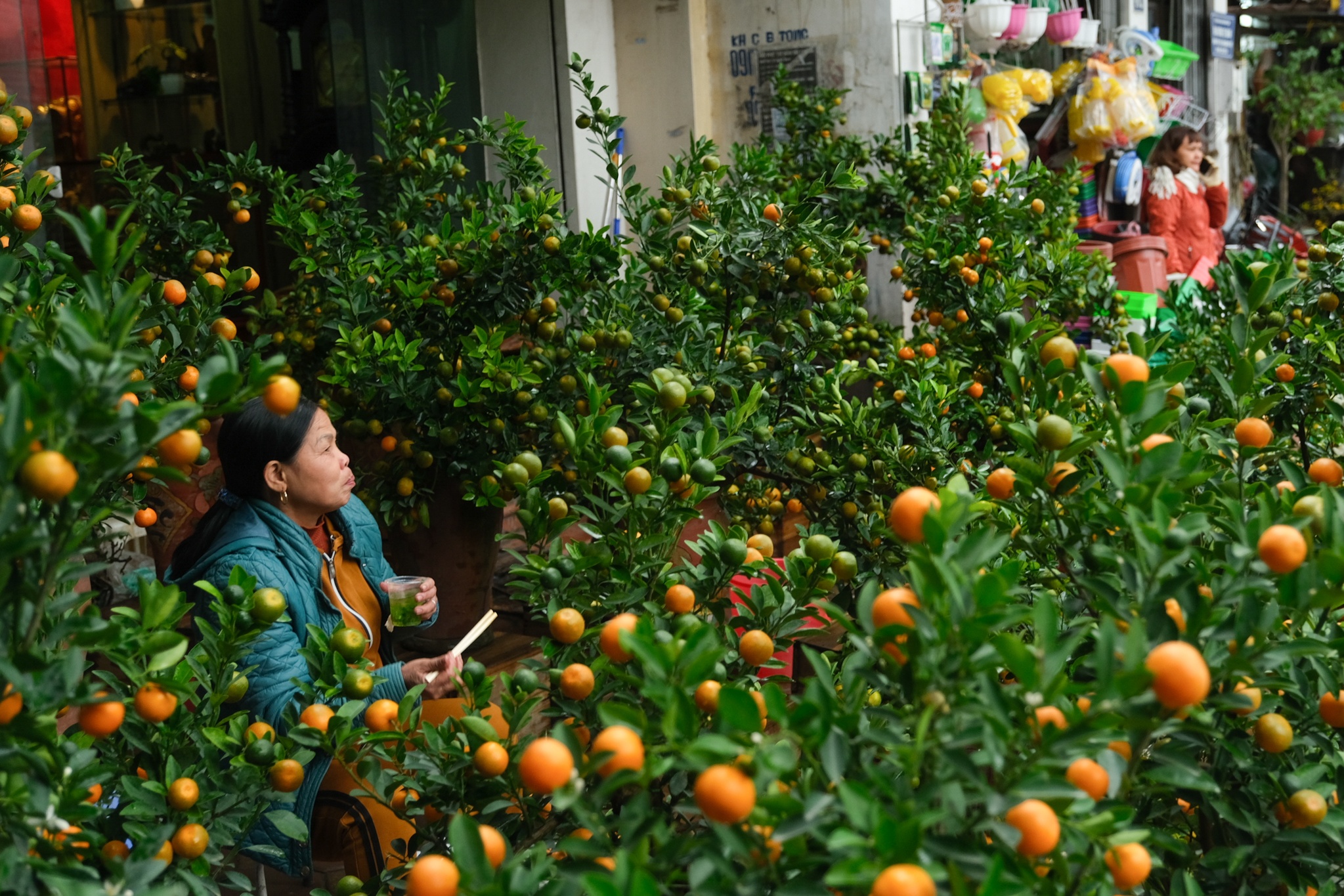 Cho hoa,  Hoang Hoa Tham,  Nhat Chi Mai,  Dia Lan,  Huong Cat Cat,  Xuan,  Canh Ty,  2020 anh 11