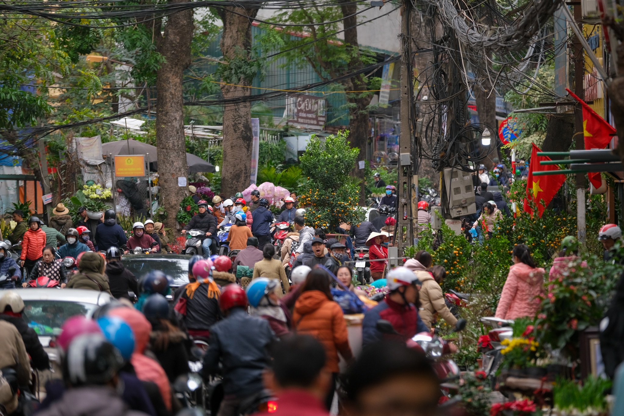 Cho hoa,  Hoang Hoa Tham,  Nhat Chi Mai,  Dia Lan,  Huong Cat Cat,  Xuan,  Canh Ty,  2020 anh 1