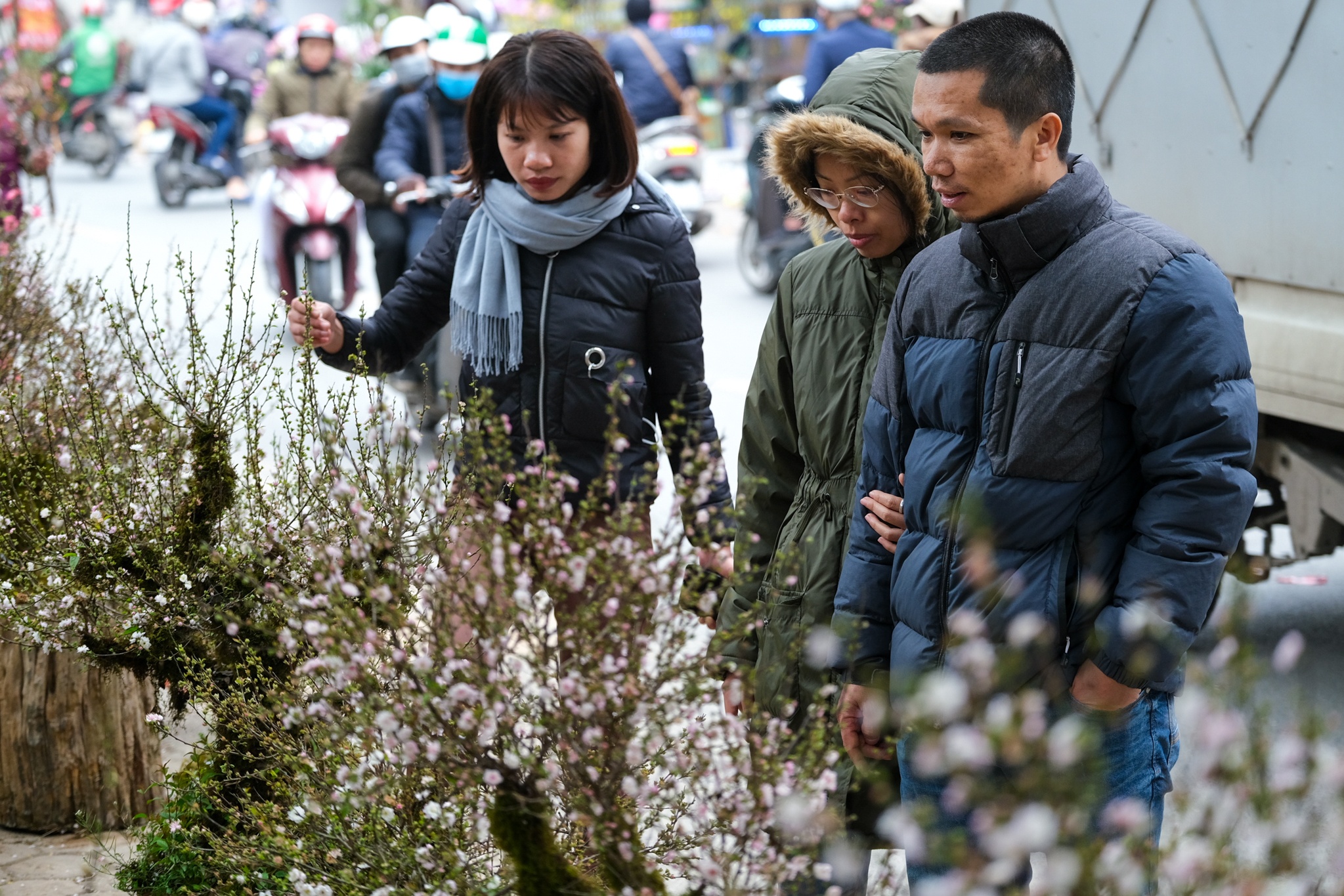 Cho hoa,  Hoang Hoa Tham,  Nhat Chi Mai,  Dia Lan,  Huong Cat Cat,  Xuan,  Canh Ty,  2020 anh 2