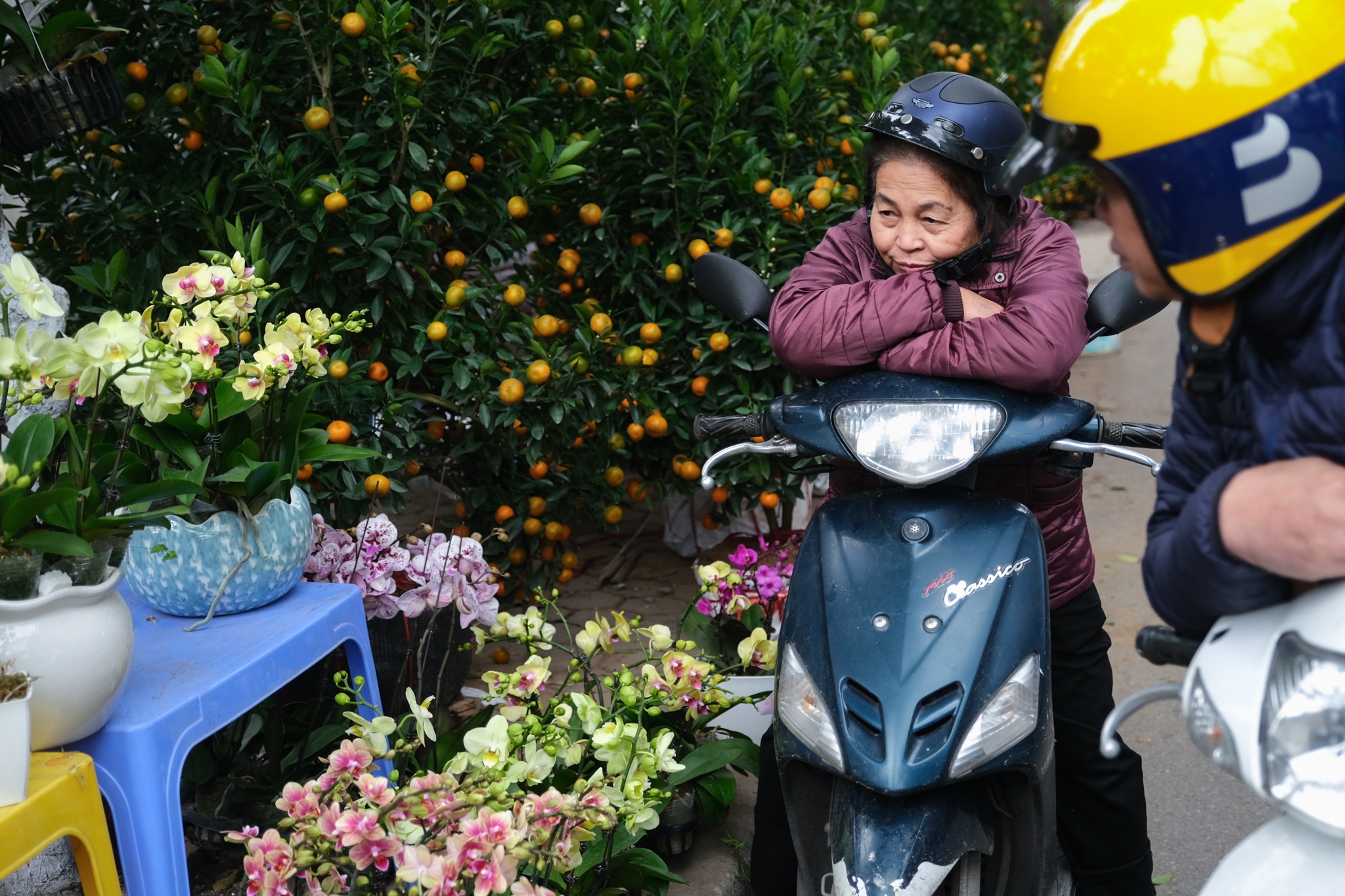 Cho hoa,  Hoang Hoa Tham,  Nhat Chi Mai,  Dia Lan,  Huong Cat Cat,  Xuan,  Canh Ty,  2020 anh 8