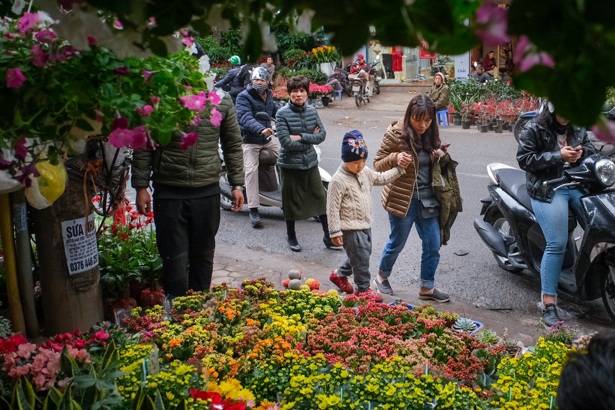 Cho hoa,  Hoang Hoa Tham,  Nhat Chi Mai,  Dia Lan,  Huong Cat Cat,  Xuan,  Canh Ty,  2020 anh 9