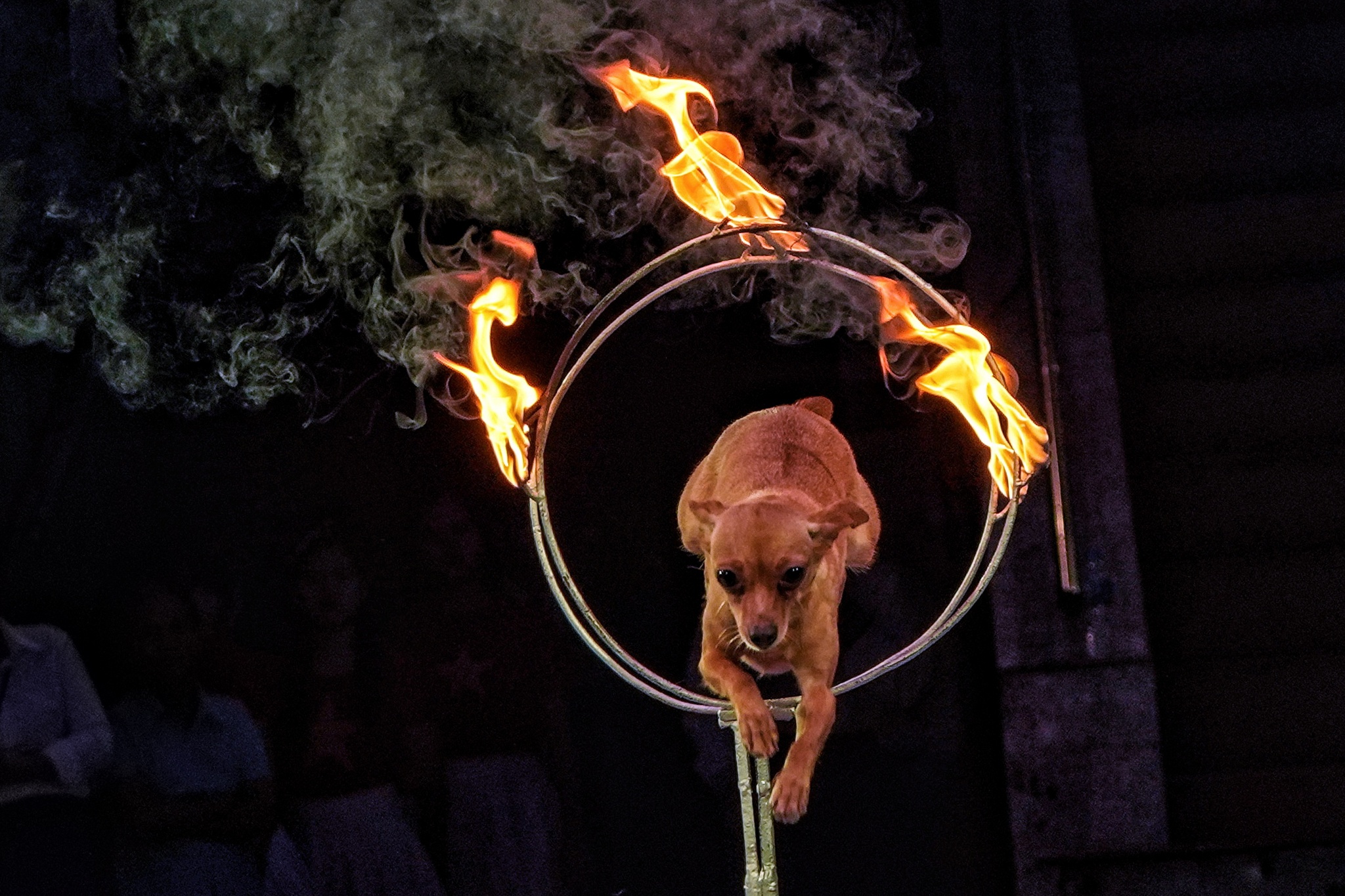 Di cung nam thang so 3 anh 5