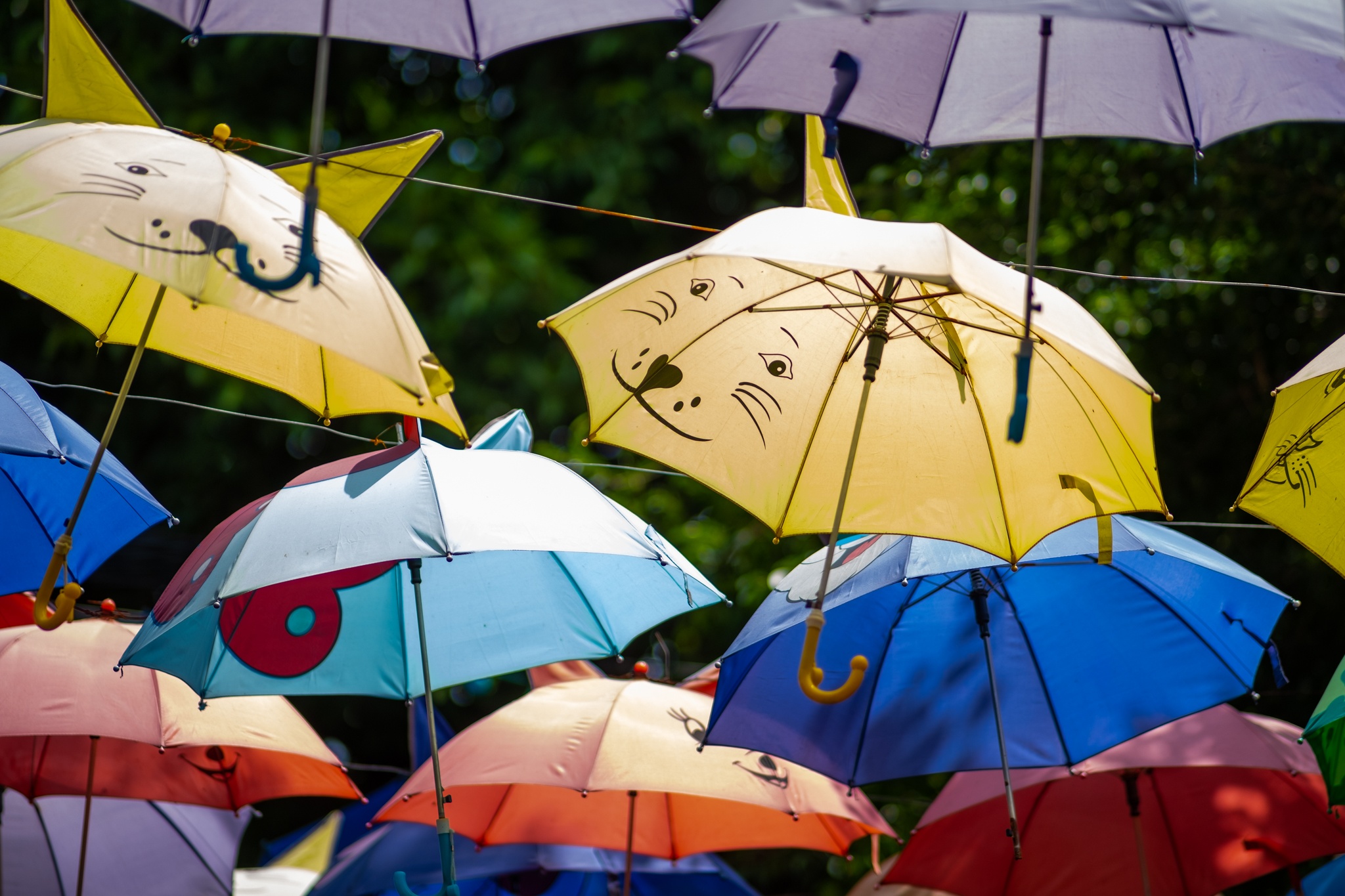 check in Trung Thu o Ha Noi anh 30