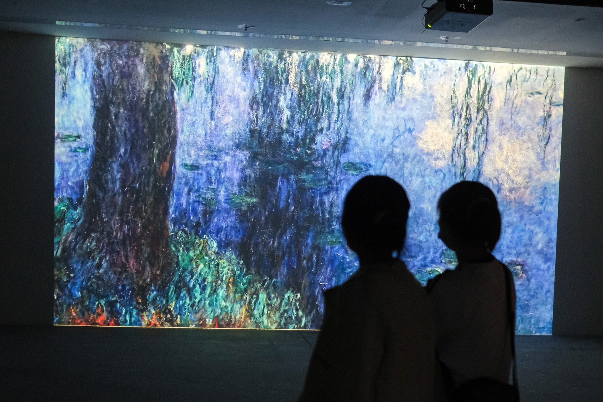 Trien lam so cua hai dai danh hoa nguoi Phap hinh anh