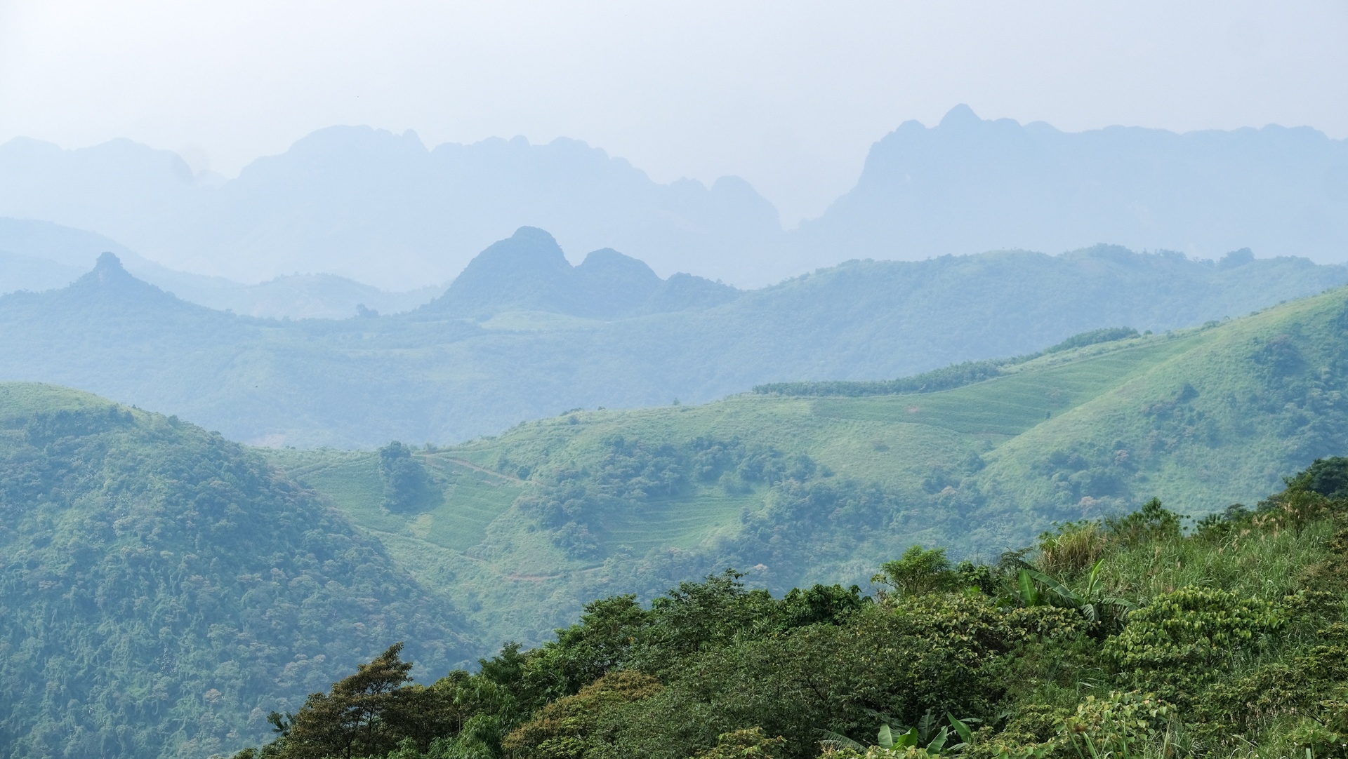 huấn luyện viên dù lượn ảnh 4 huan luyen vien du luon anh 4