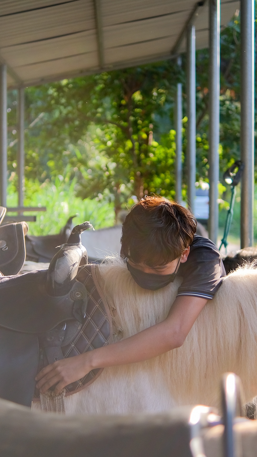 huấn luyện viên dạy cưỡi ngựa ảnh 40 huan luyen vien day cuoi ngua anh 40