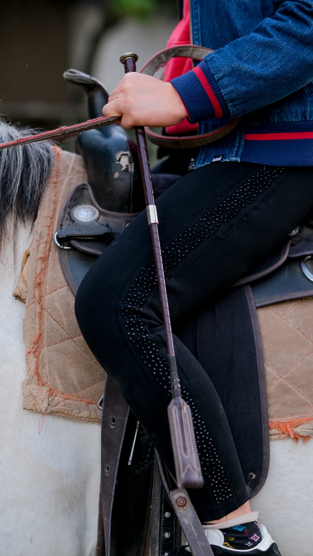 huấn luyện viên dạy cưỡi ngựa ảnh 18 huan luyen vien day cuoi ngua anh 18