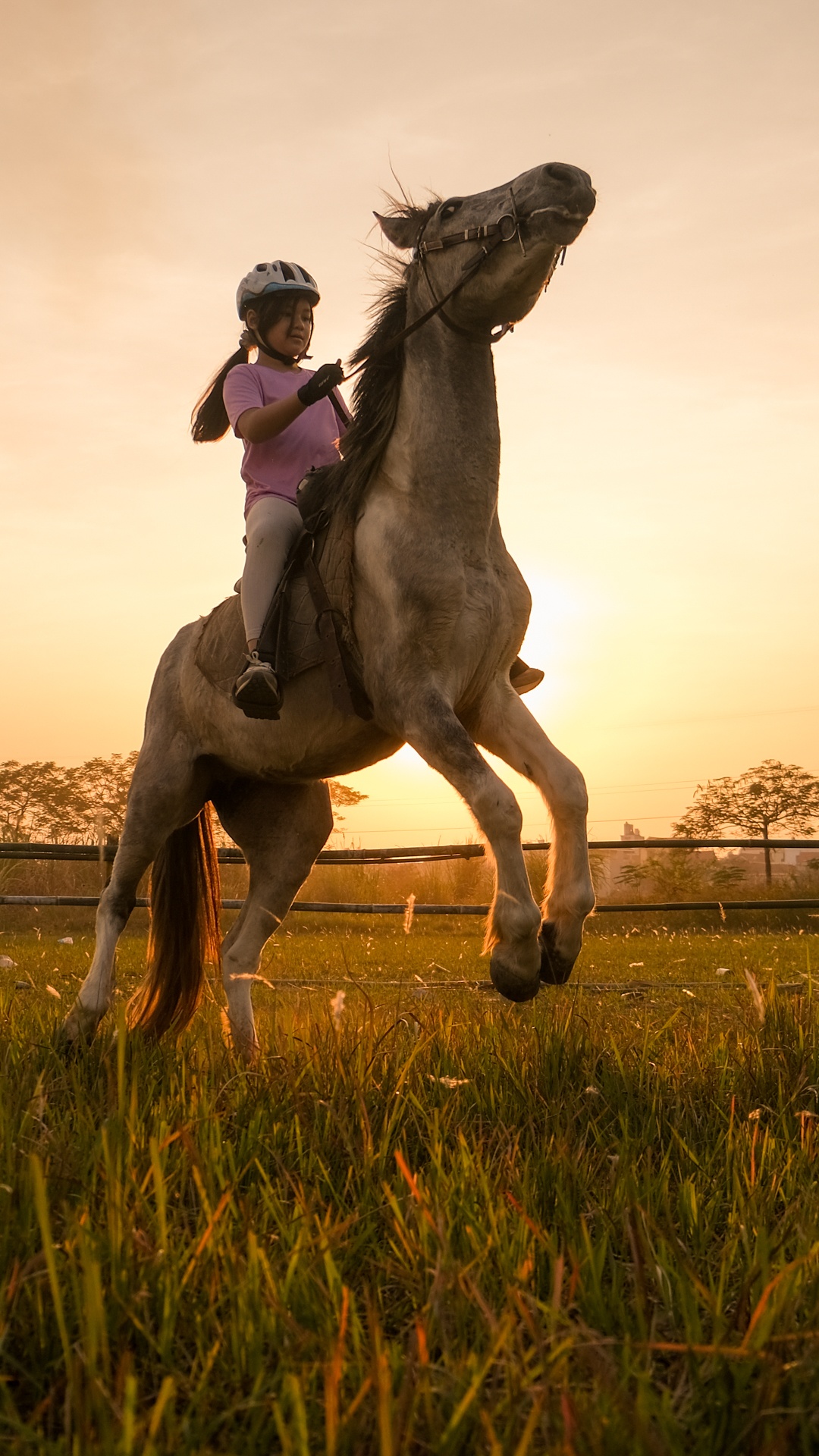 huấn luyện viên dạy cưỡi ngựa ảnh 22 huan luyen vien day cuoi ngua anh 22