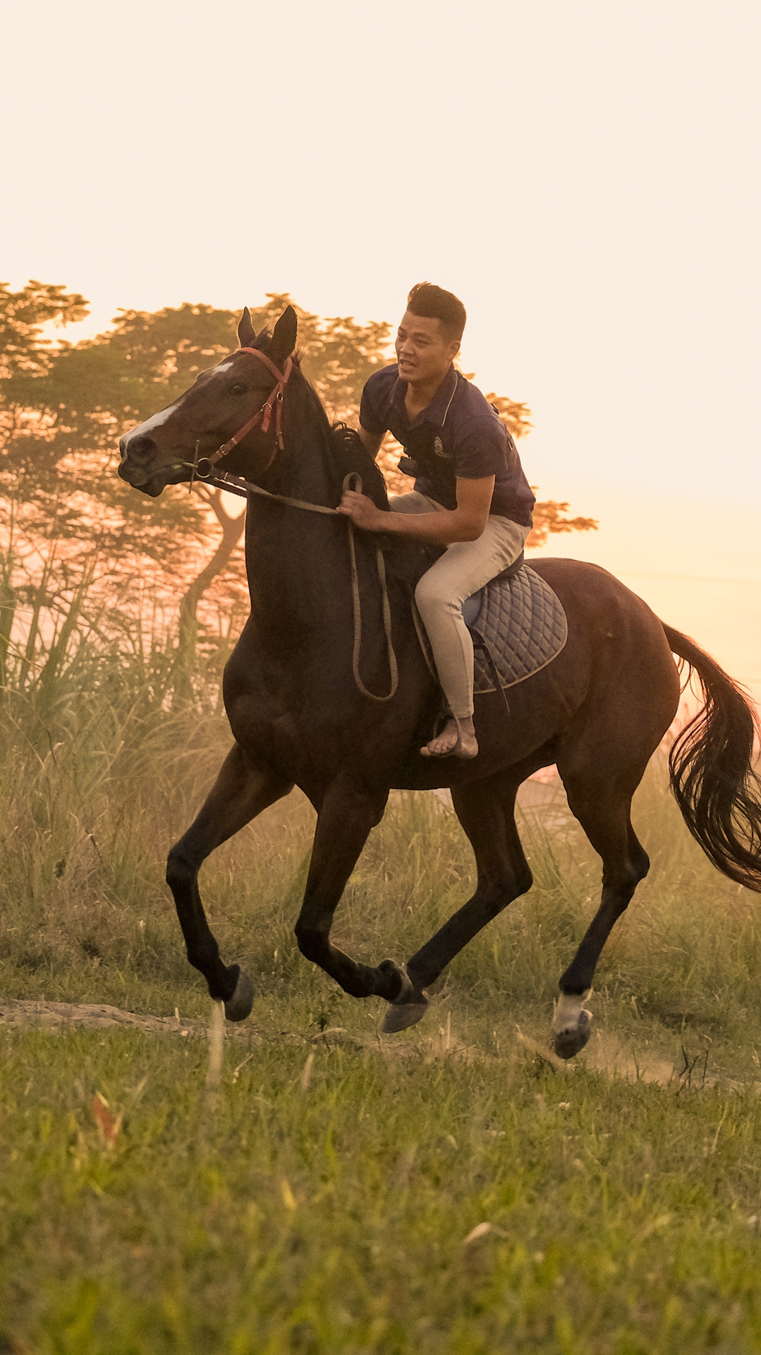 huấn luyện viên dạy cưỡi ngựa ảnh 44 huan luyen vien day cuoi ngua anh 44