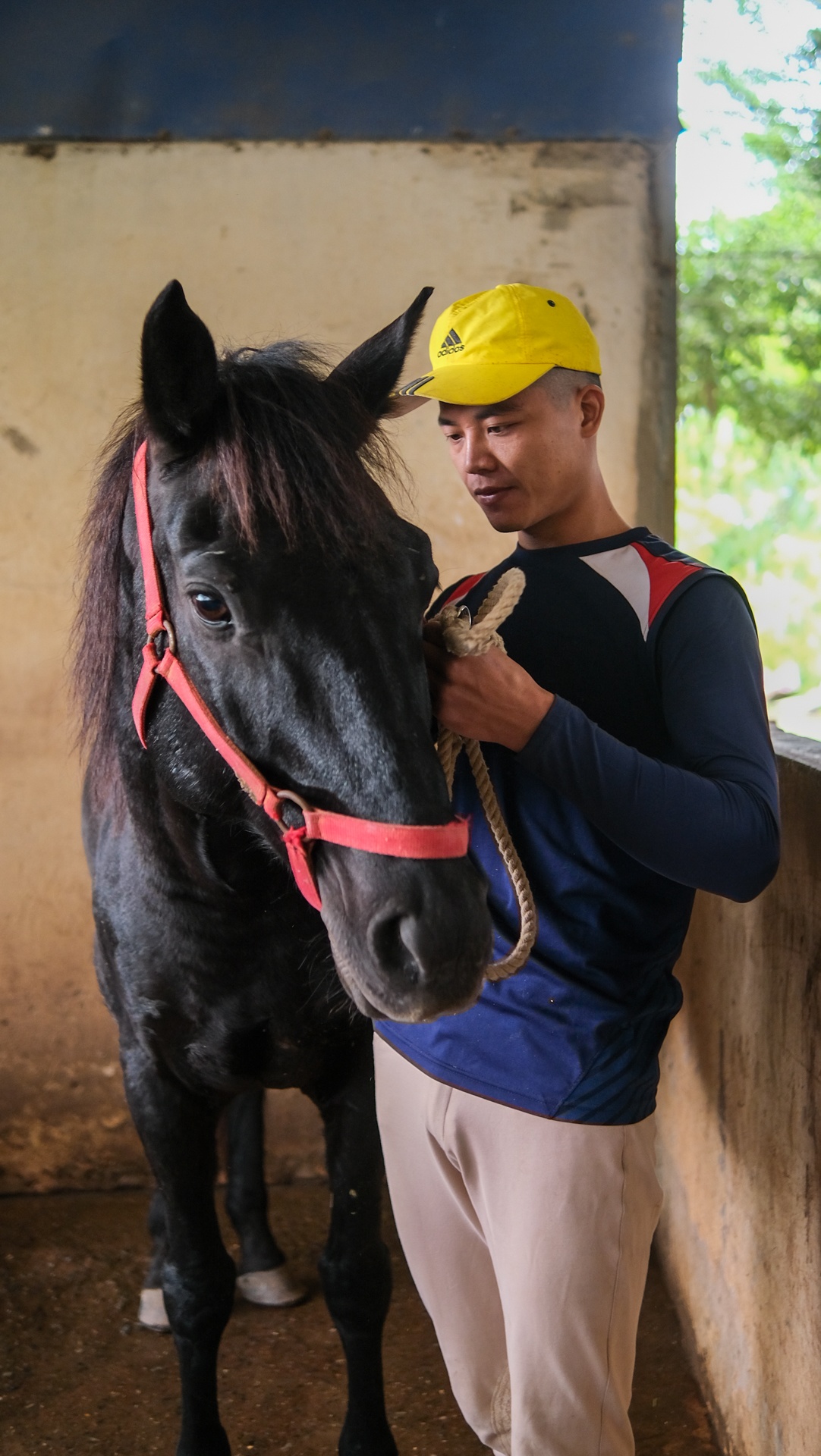 huấn luyện viên dạy cưỡi ngựa ảnh 4 huan luyen vien day cuoi ngua anh 4