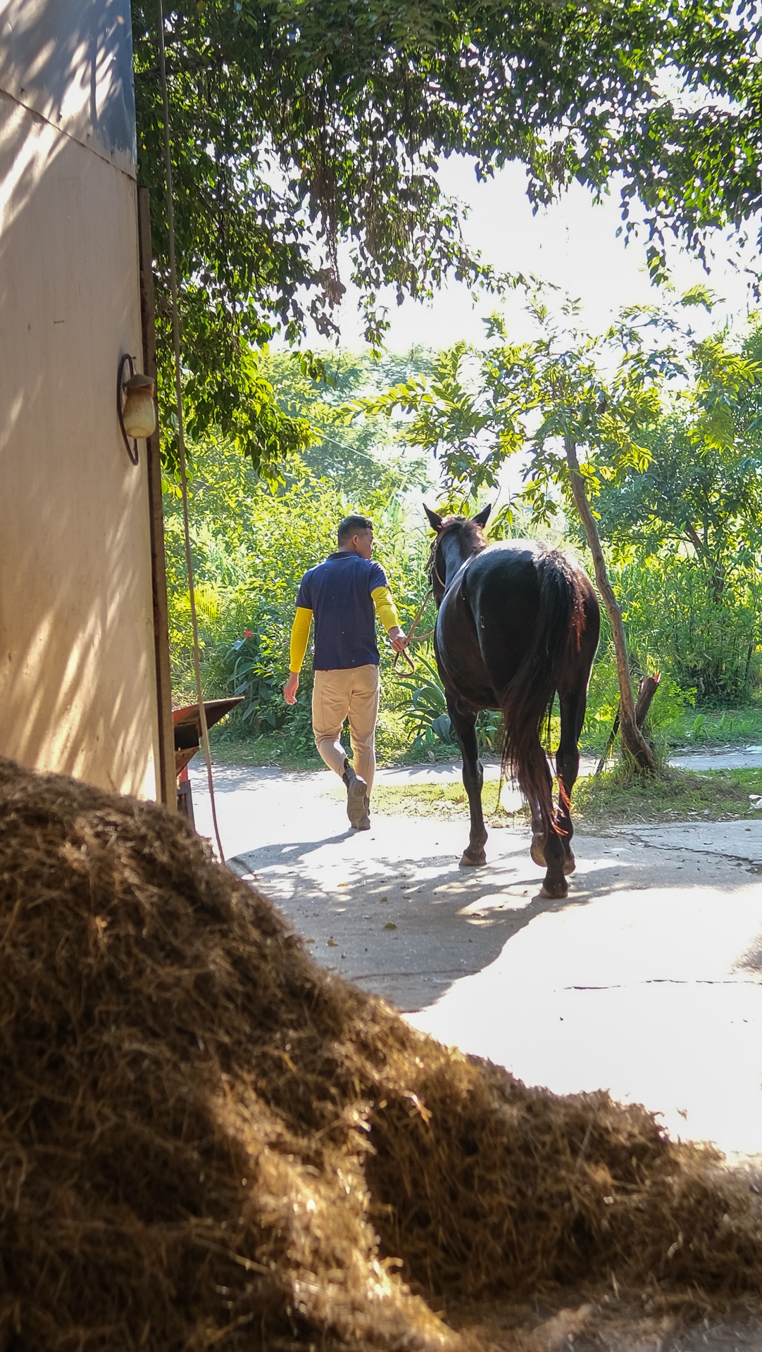 huấn luyện viên dạy cưỡi ngựa ảnh 8 huan luyen vien day cuoi ngua anh 8