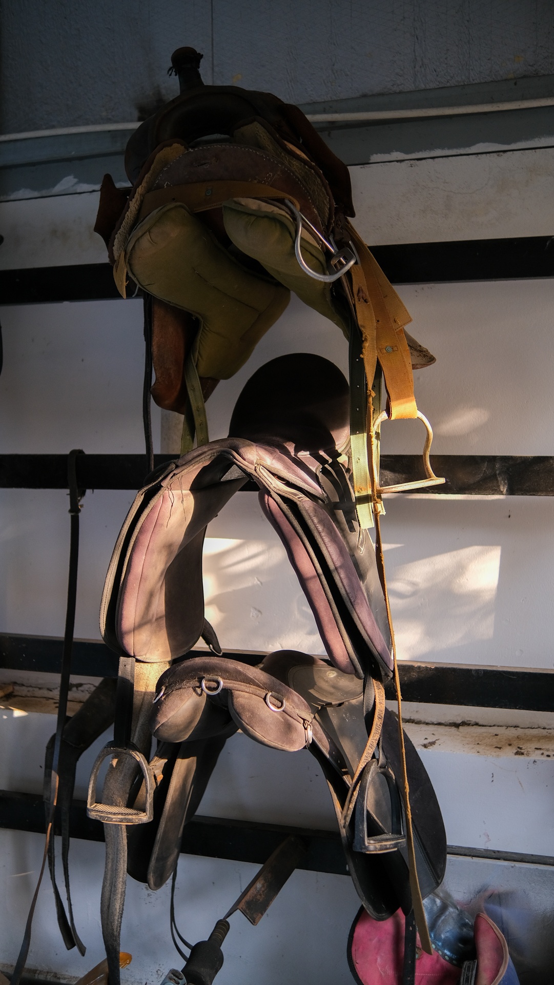 huấn luyện viên dạy cưỡi ngựa ảnh 14 huan luyen vien day cuoi ngua anh 14