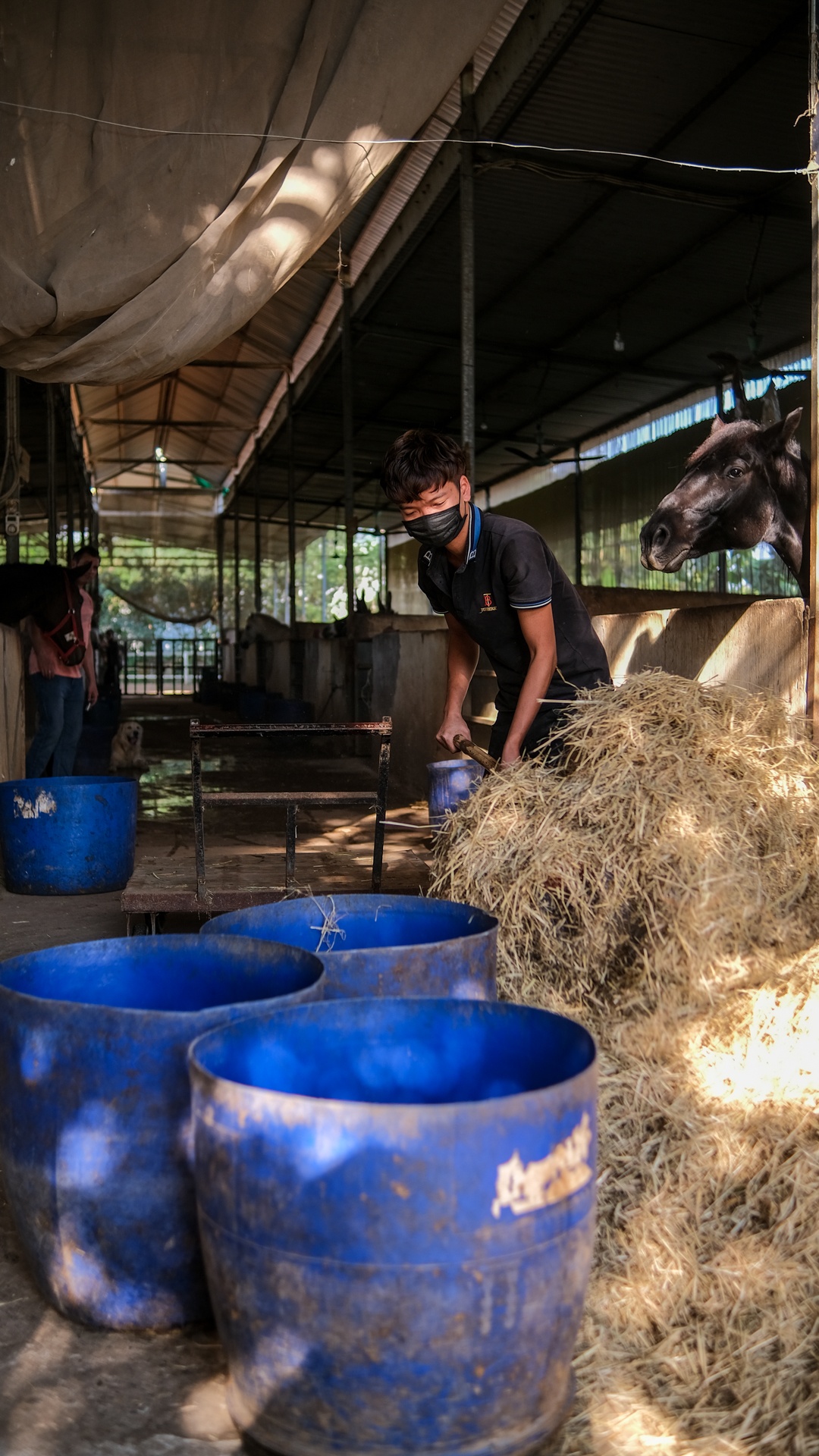 huấn luyện viên dạy cưỡi ngựa ảnh 34 huan luyen vien day cuoi ngua anh 34