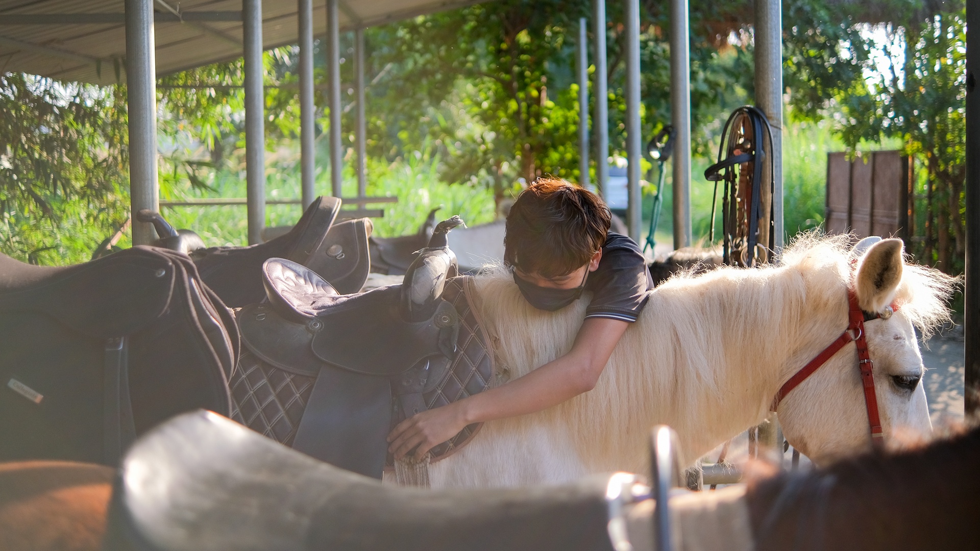 huấn luyện viên dạy cưỡi ngựa ảnh 39 huan luyen vien day cuoi ngua anh 39