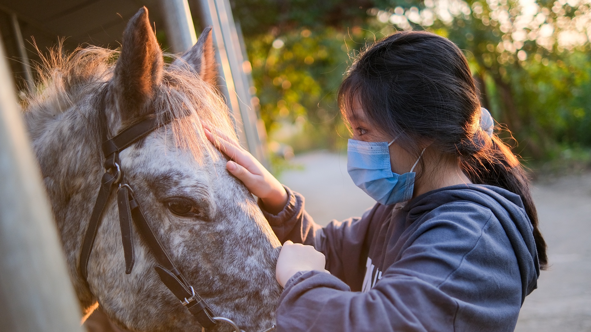 huấn luyện viên dạy cưỡi ngựa ảnh 15 huan luyen vien day cuoi ngua anh 15