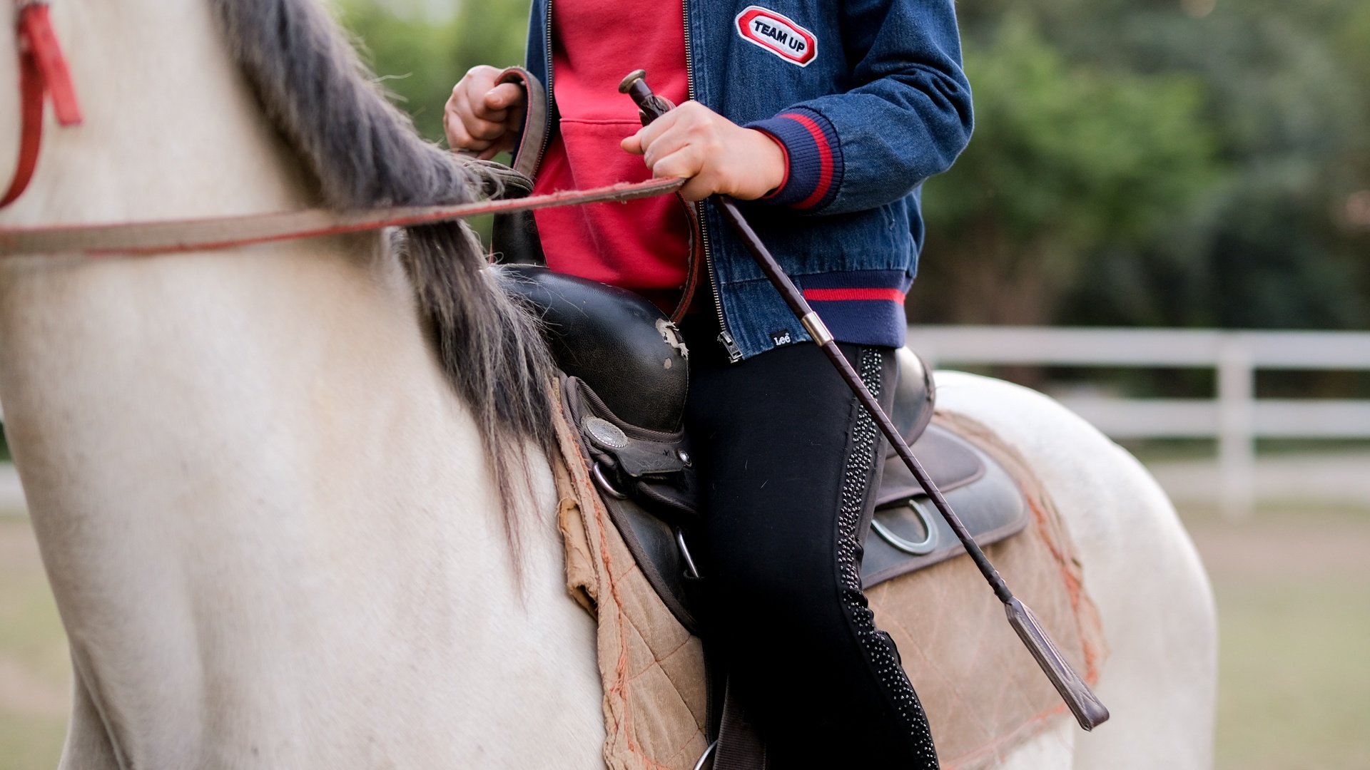 huấn luyện viên dạy cưỡi ngựa ảnh 17 huan luyen vien day cuoi ngua anh 17