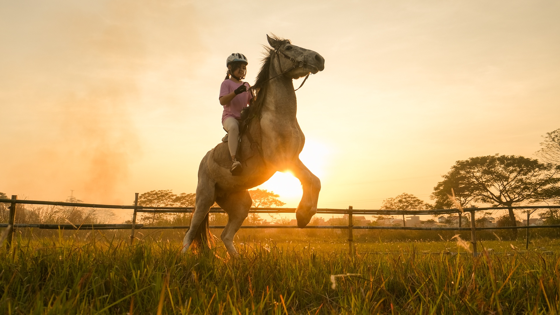 huấn luyện viên dạy cưỡi ngựa ảnh 21 huan luyen vien day cuoi ngua anh 21