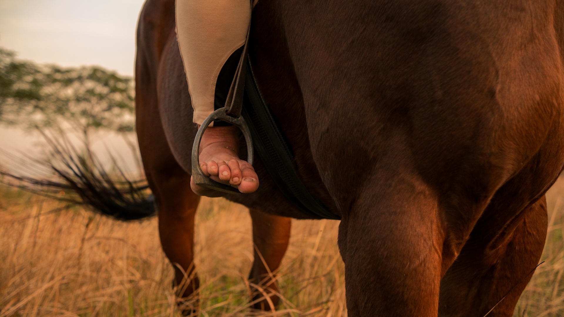 huấn luyện viên dạy cưỡi ngựa ảnh 41 huan luyen vien day cuoi ngua anh 41