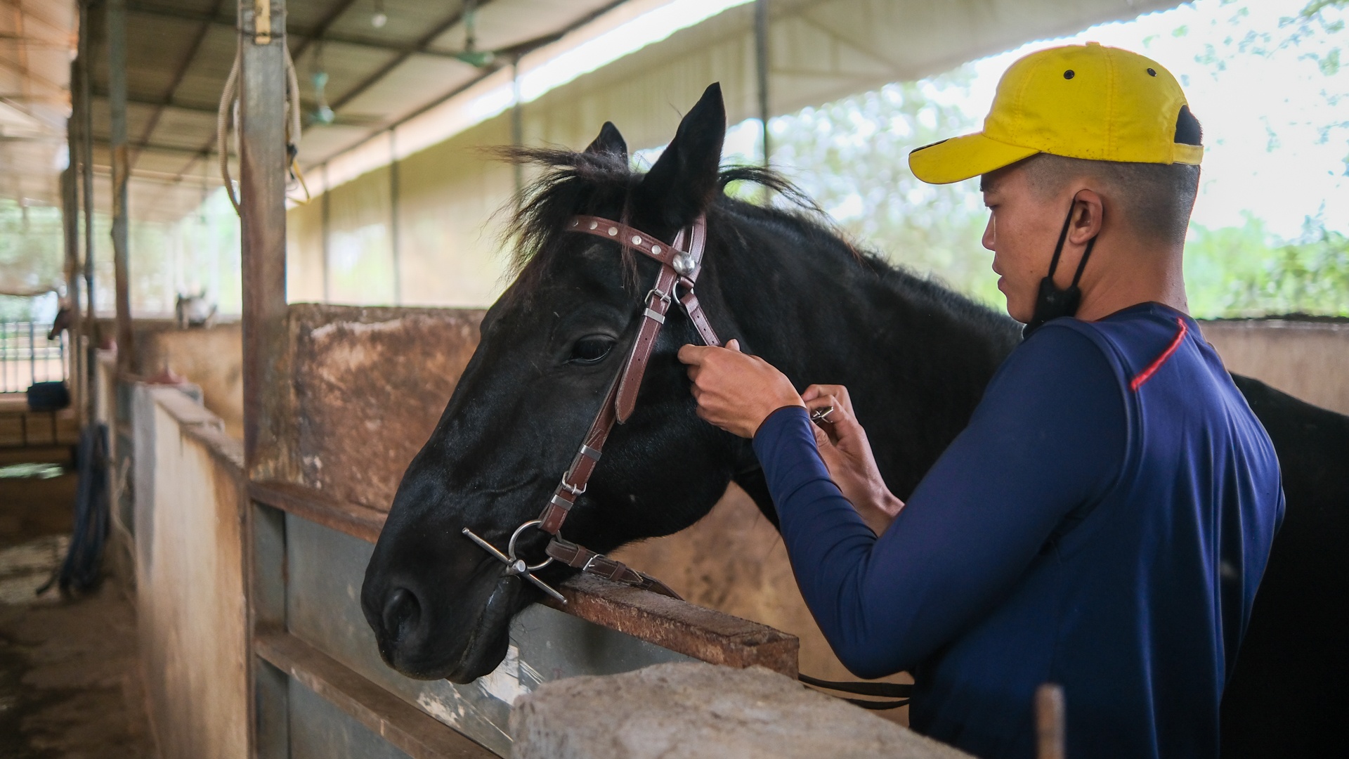 huấn luyện viên dạy cưỡi ngựa ảnh 3 huan luyen vien day cuoi ngua anh 3