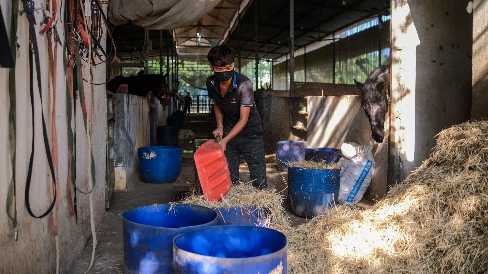 huấn luyện viên dạy cưỡi ngựa ảnh 33 huan luyen vien day cuoi ngua anh 33