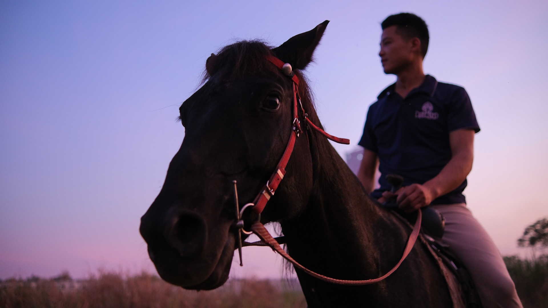 huấn luyện viên dạy cưỡi ngựa ảnh 45 huan luyen vien day cuoi ngua anh 45