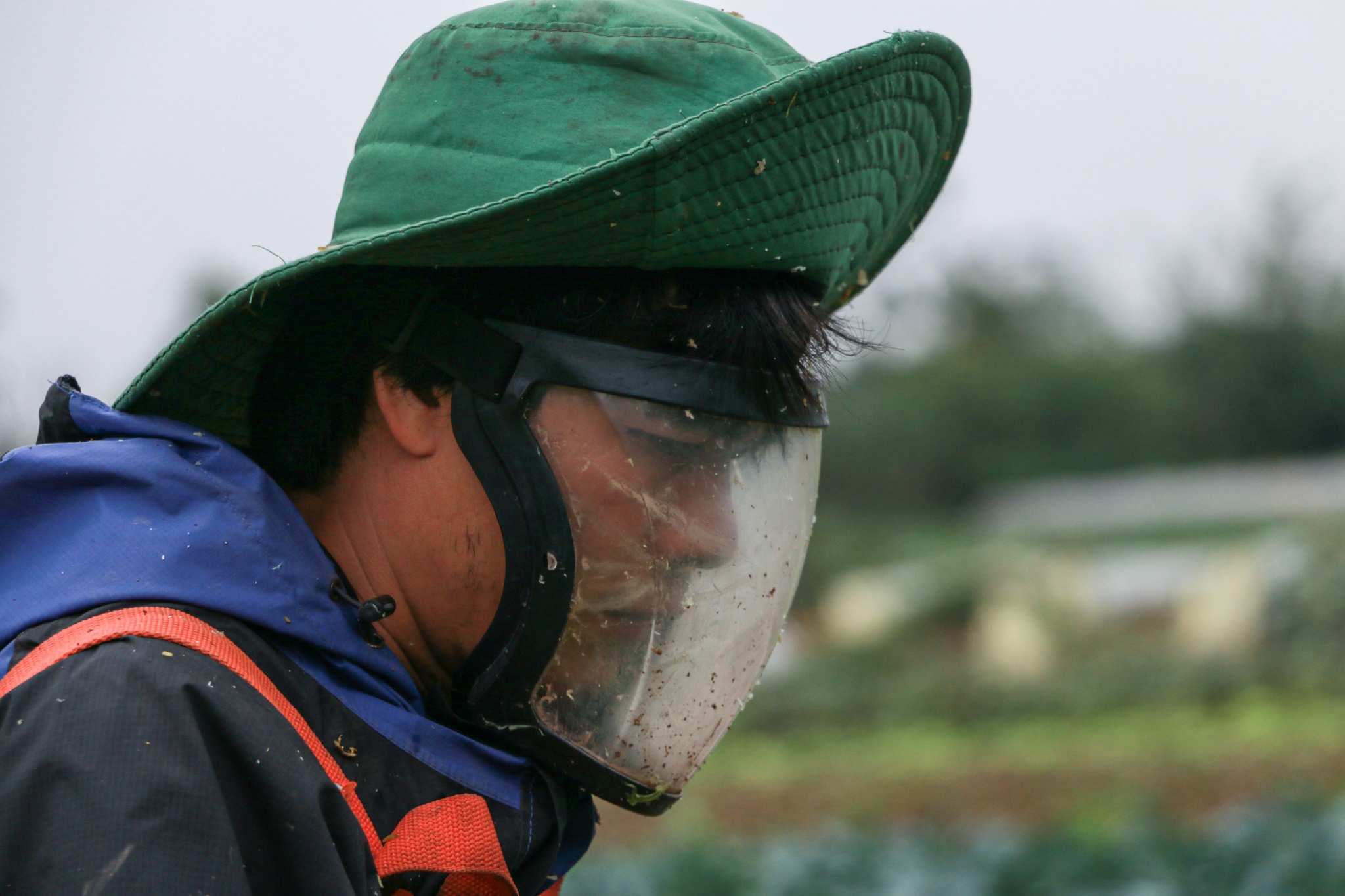 Vợ chồng tiến sĩ bỏ phố về quê ảnh 12 Vo chong tien si bo pho ve que anh 12