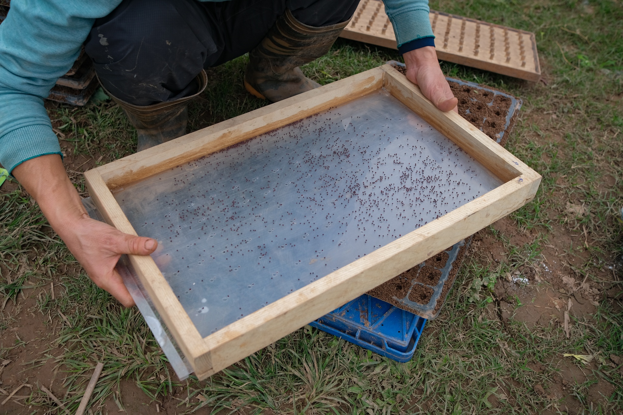 Vợ chồng tiến sĩ bỏ phố về quê ảnh 22 Vo chong tien si bo pho ve que anh 22