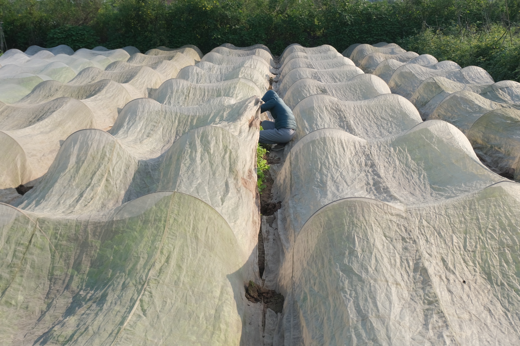 Vo chong tien si bo pho ve que anh 5