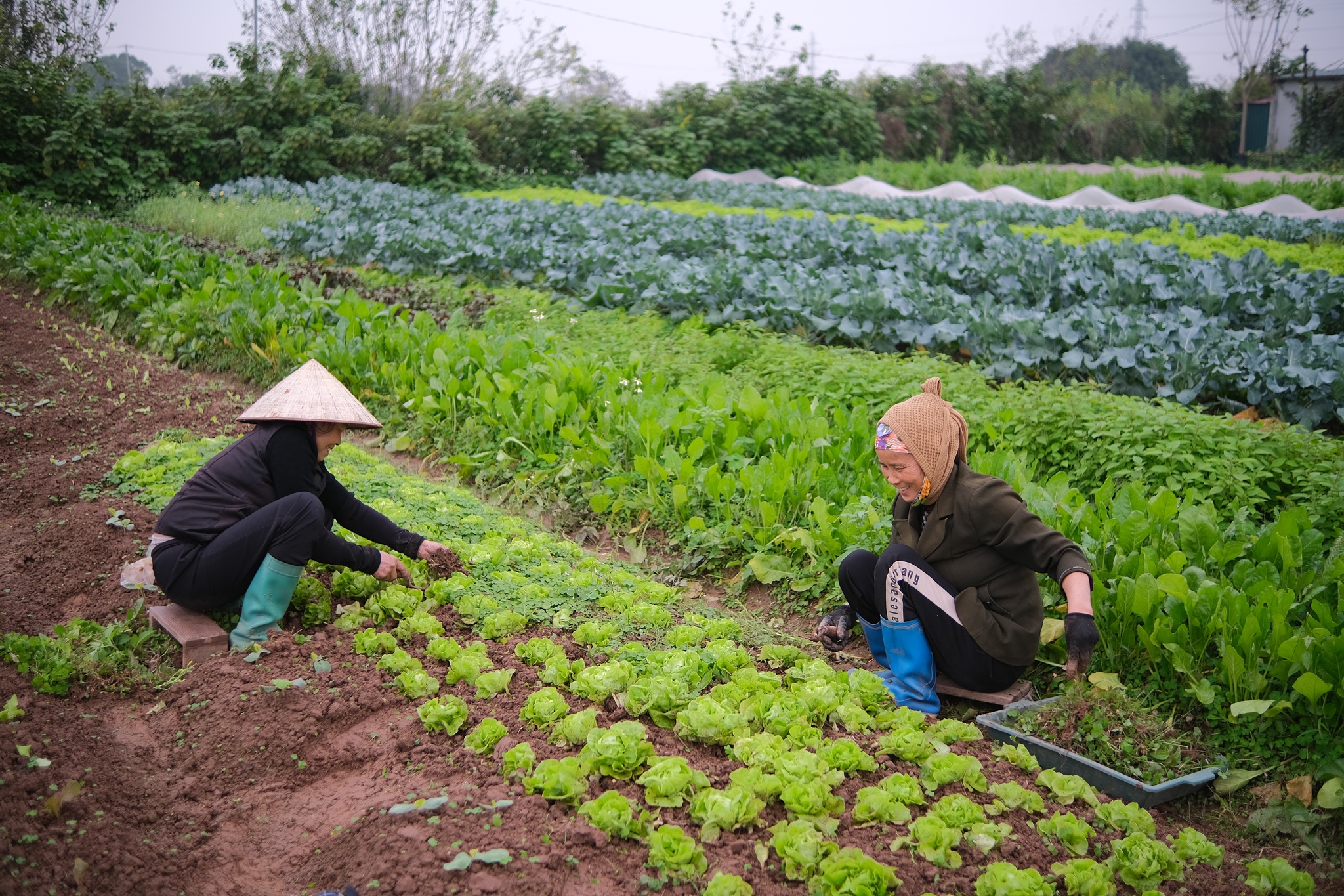 Vo chong tien si bo pho ve que anh 28