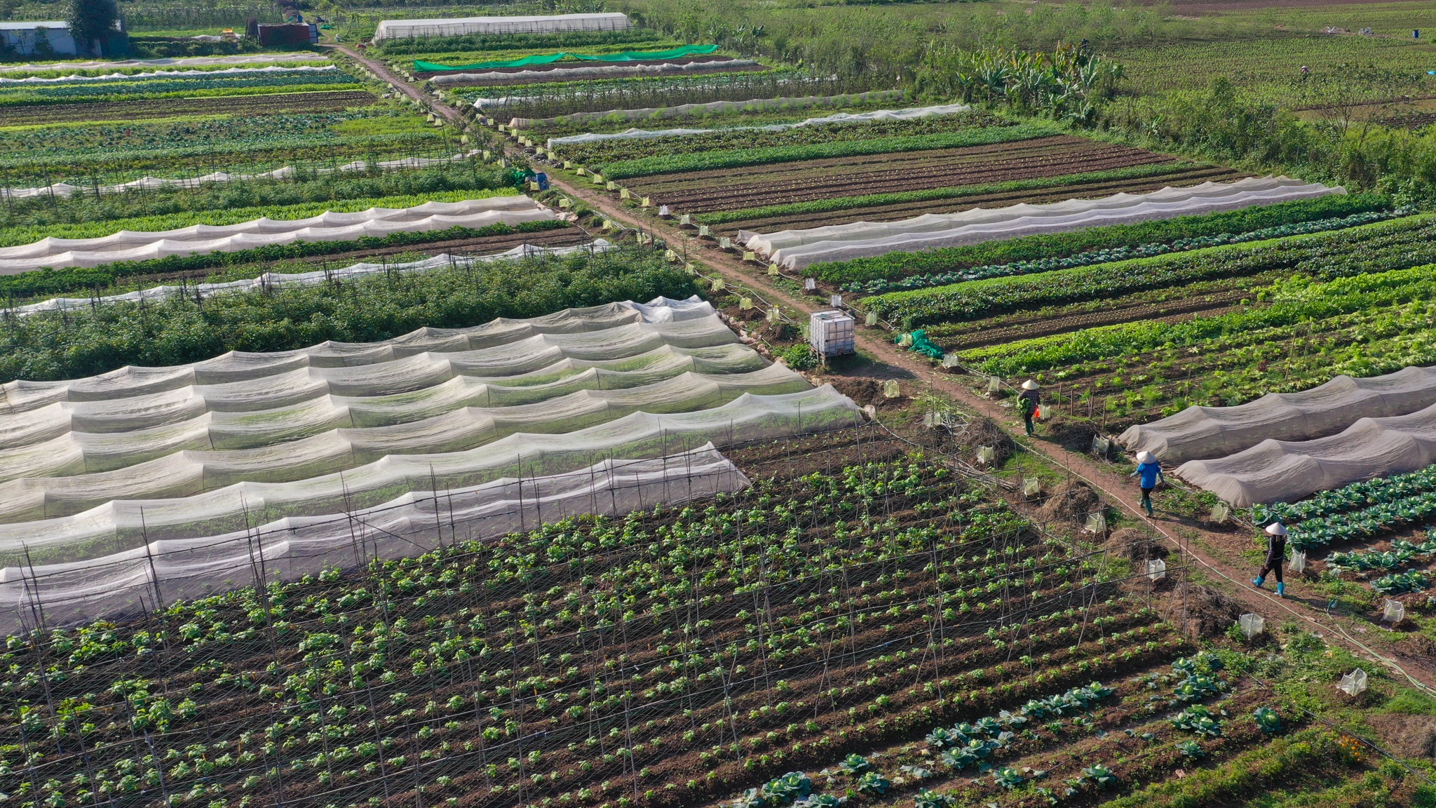 Vo chong tien si bo pho ve que anh 8