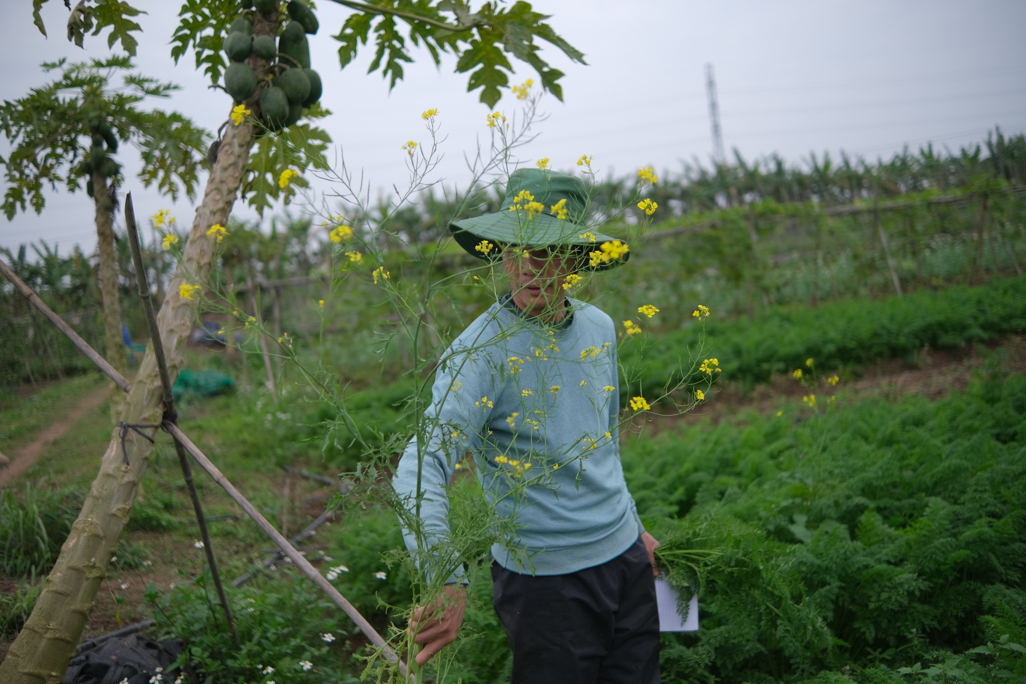 Vo chong tien si bo pho ve que anh 35