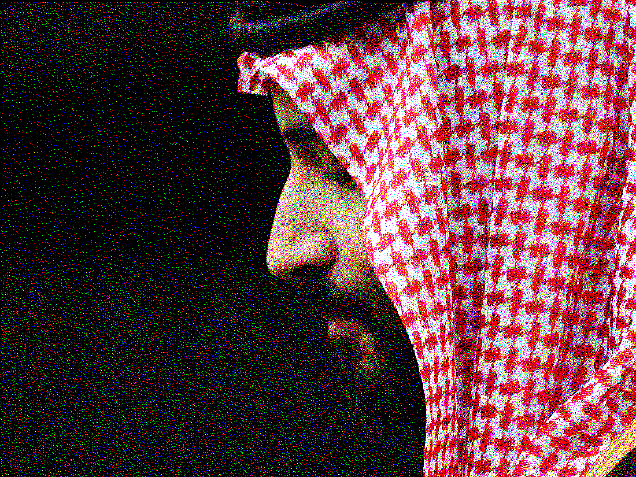 Vu nha bao mat tich - Con khung hoang truyen thong cua Thai tu Saudi hinh anh