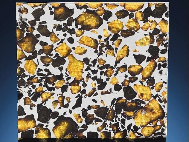 Thien thach quy hiem anh 11