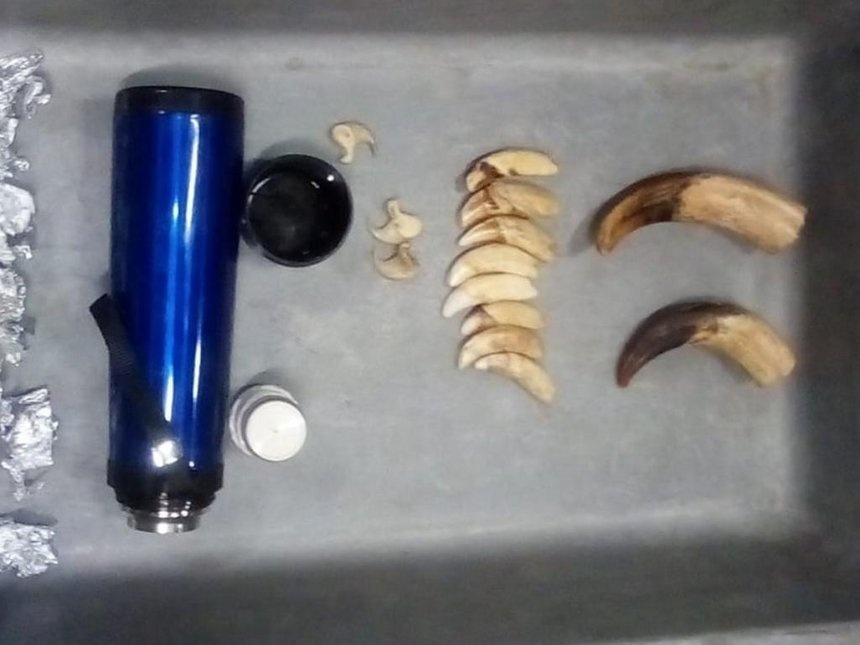 Công dân Việt Nam bị bắt ảnh 1 Cong dan Viet Nam bi bat anh 1