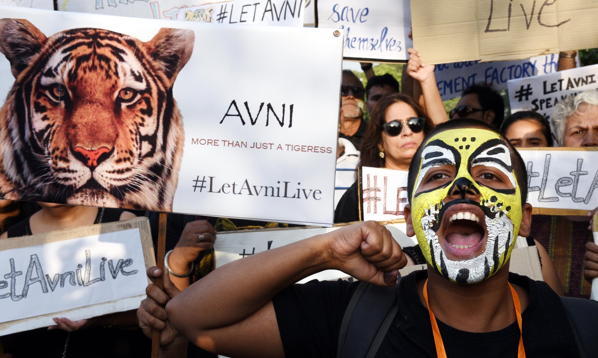 Chien dich san ho an thit nguoi o An Do anh 11