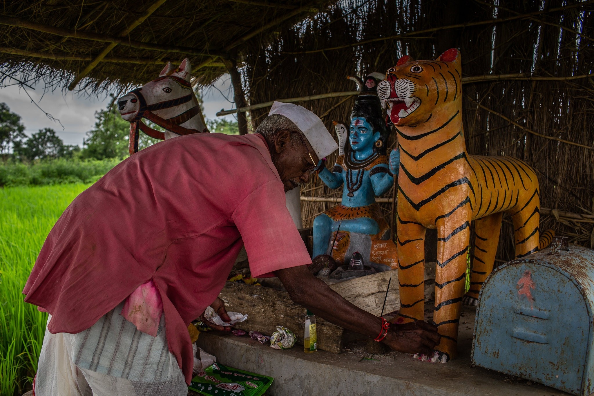 Chien dich san ho an thit nguoi o An Do anh 1