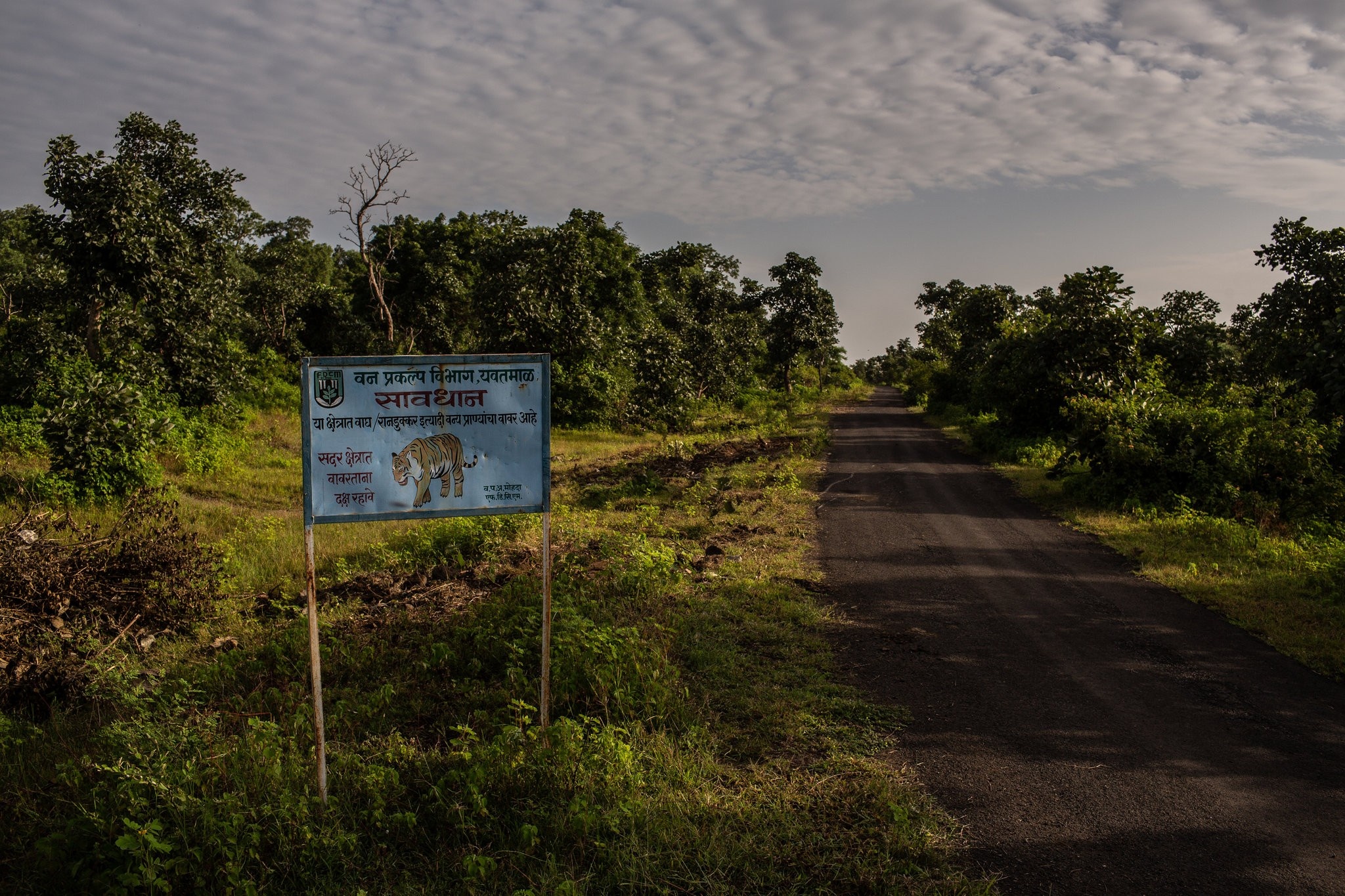 Chien dich san ho an thit nguoi o An Do anh 14