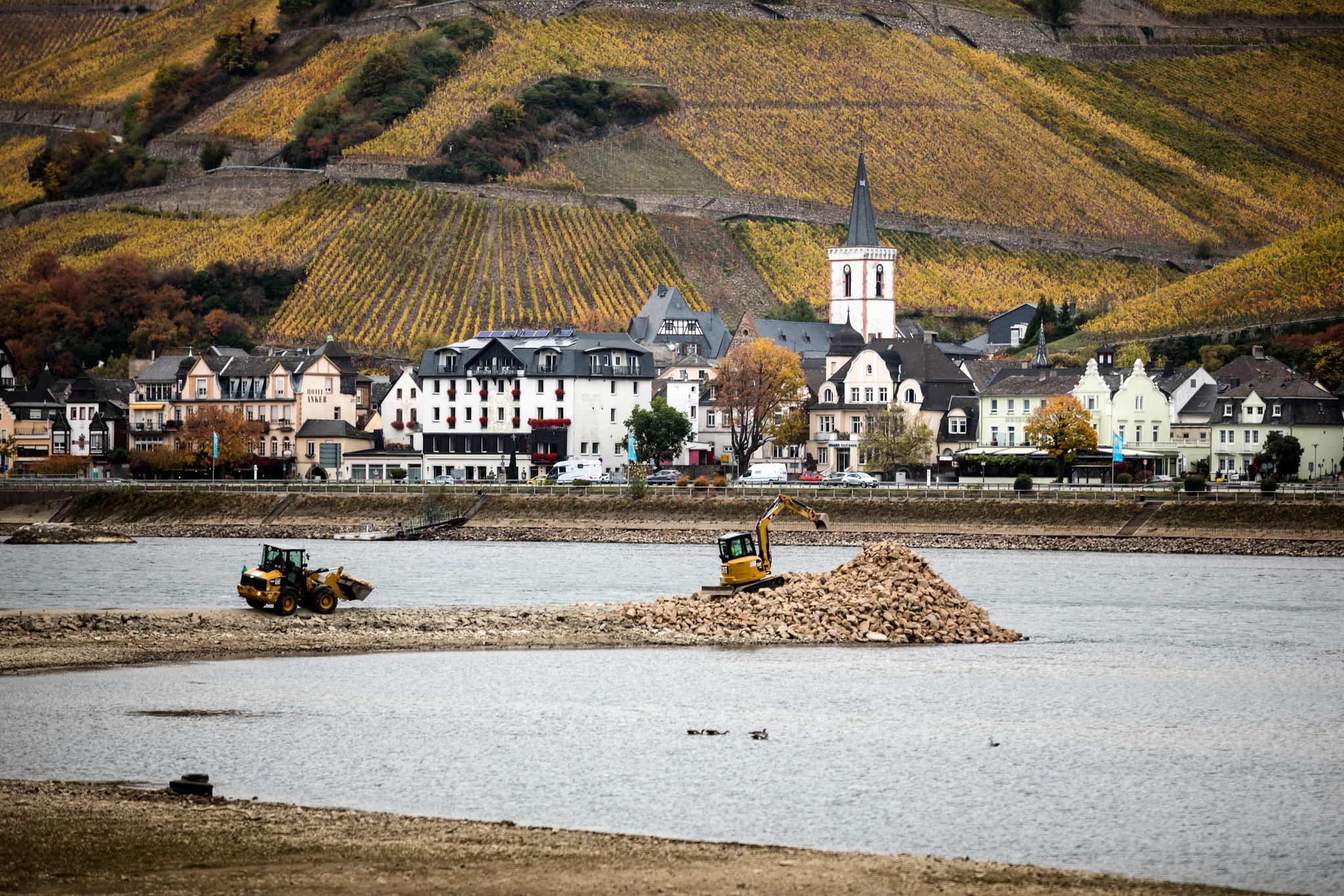 Hạn hán kỷ lục ở Đức ảnh 5 Han han ky luc o Duc anh 5