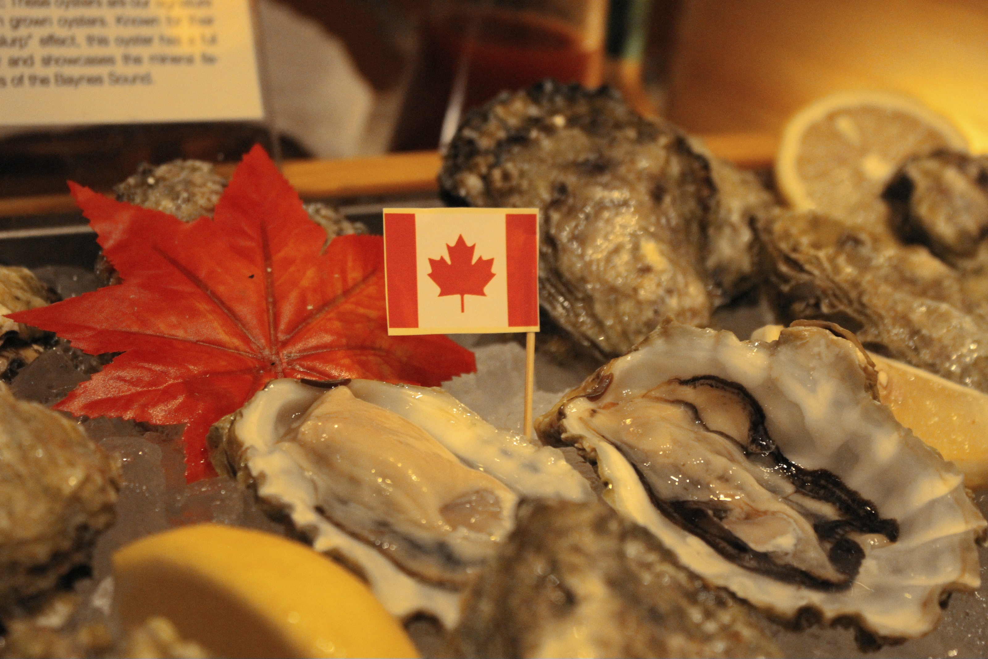 Tinh hoa ẩm thực Canada ảnh 3 Tinh hoa am thuc Canada anh 3