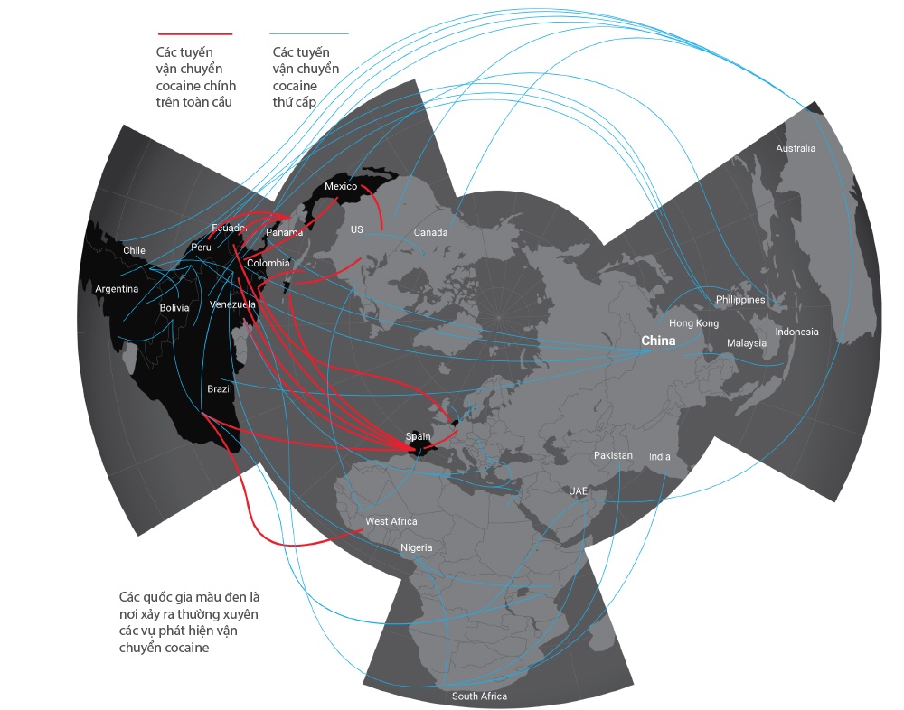 ma tuy xuyen quoc gia anh 12