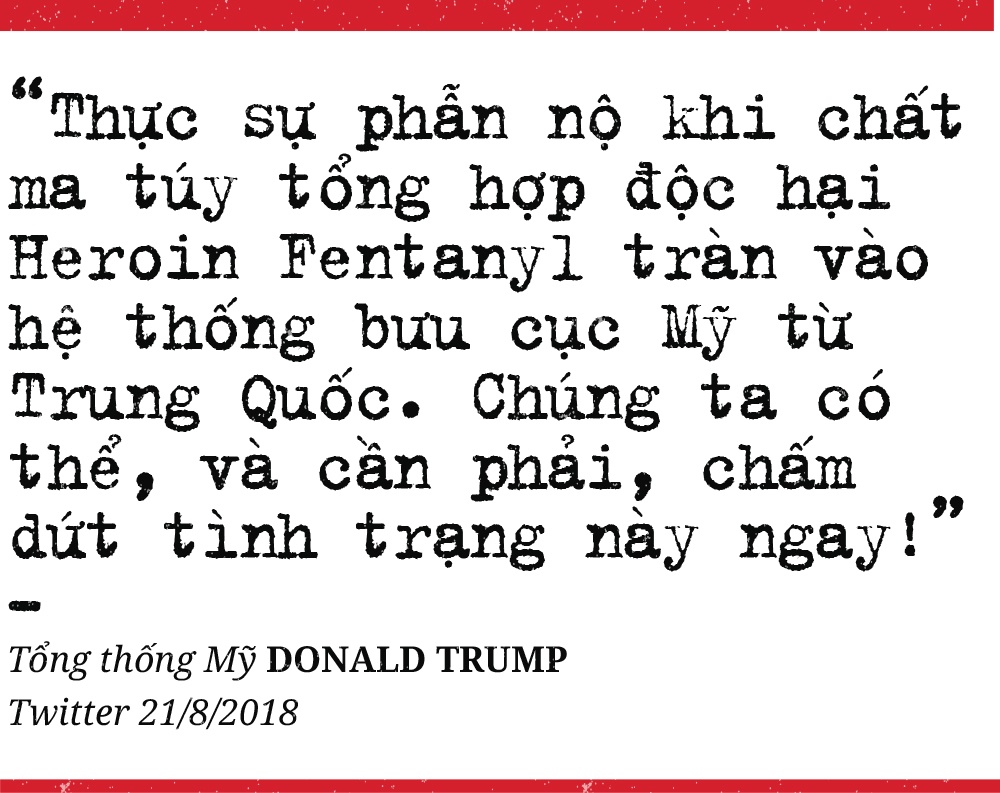 ma tuy xuyen quoc gia anh 10