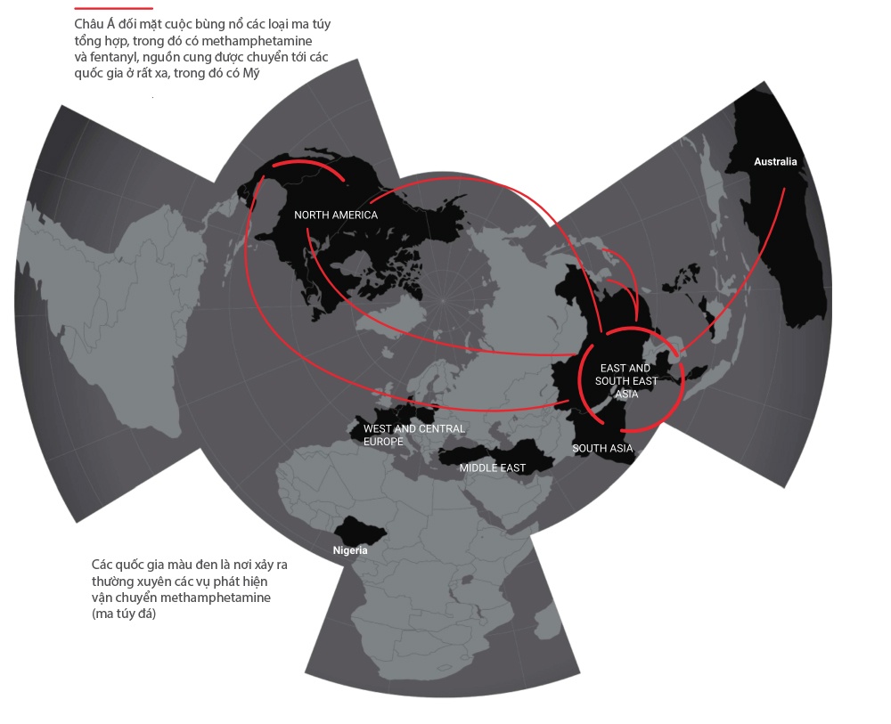 ma tuy xuyen quoc gia anh 8