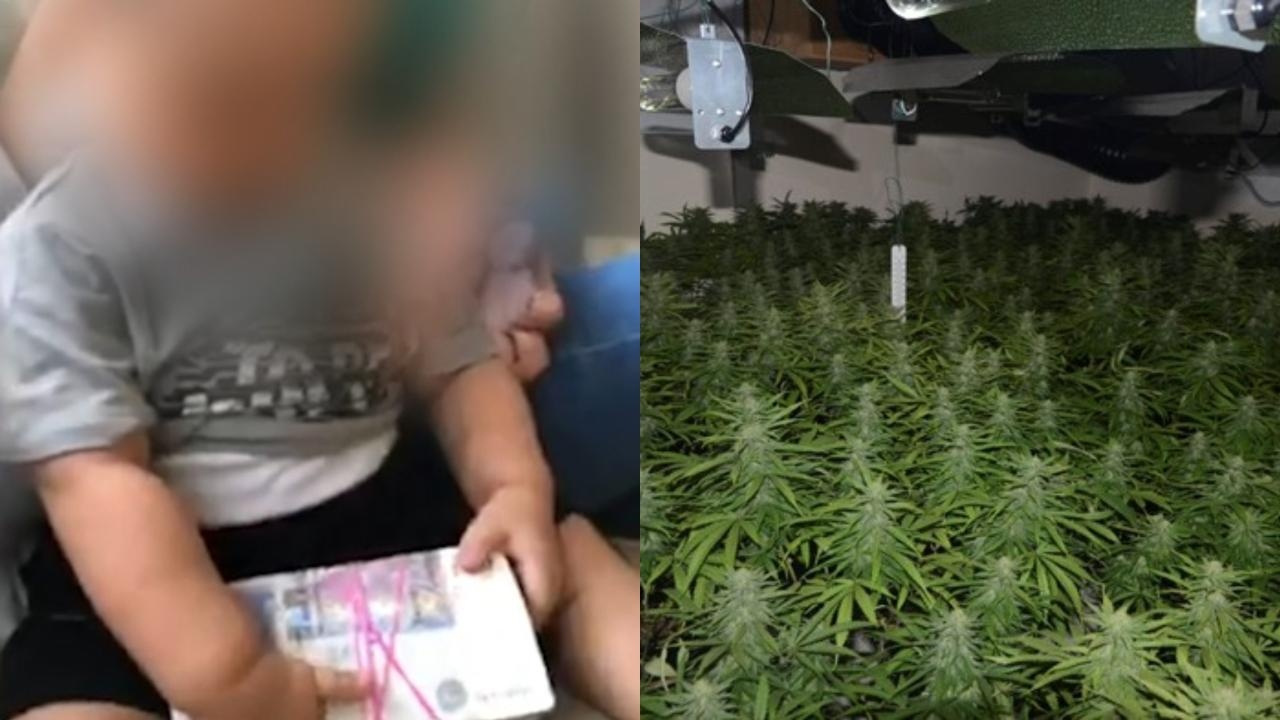 Toa an Anh ket an bang nhom trong can do nguoi Viet cam dau hinh anh