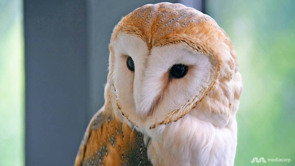 Quan cafe Tokyo anh 10