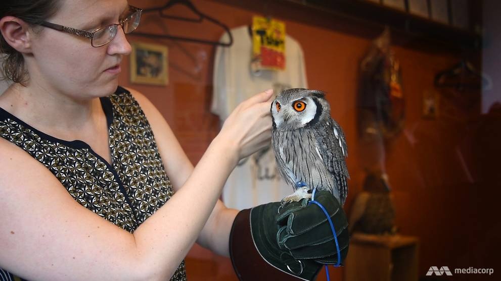 Quan cafe Tokyo anh 12