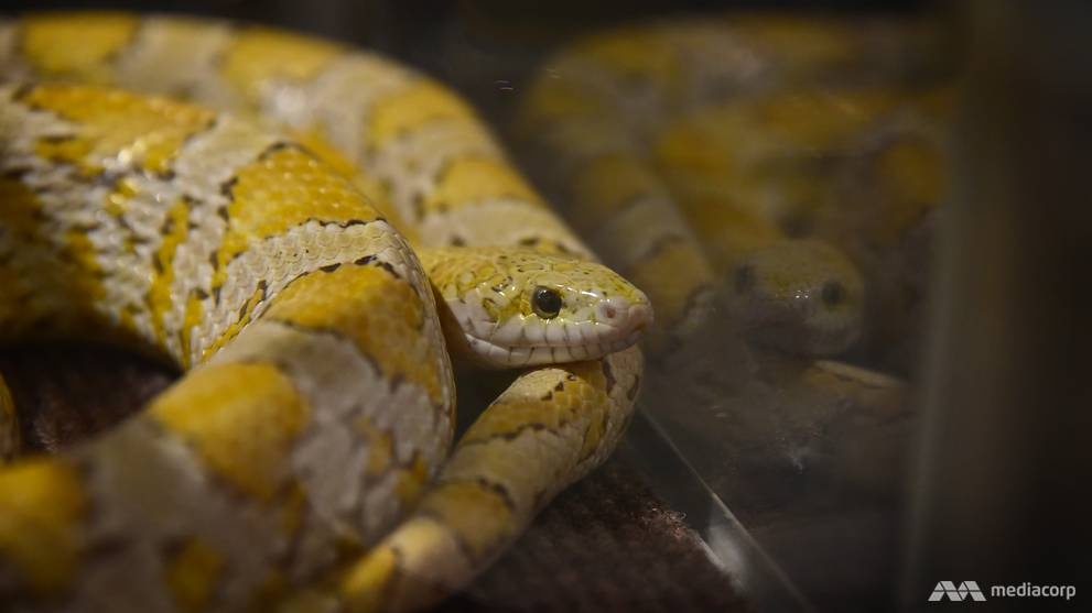 Quan cafe Tokyo anh 2