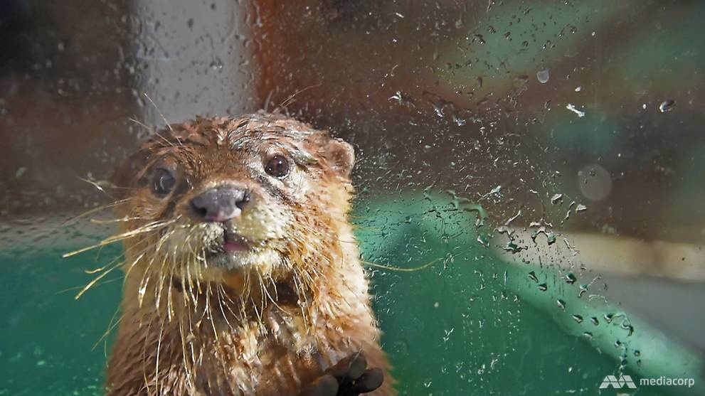 Quan cafe Tokyo anh 8