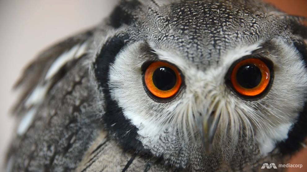 Quan cafe Tokyo anh 9