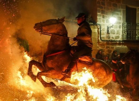 Nhung con ngua 'tay minh' bang lua trong le hoi o Tay Ban Nha hinh anh