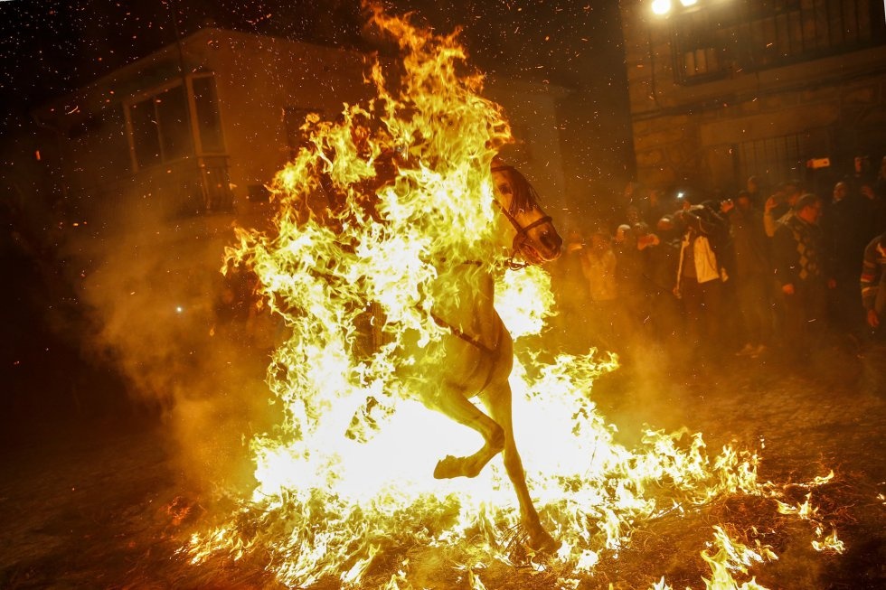 le hoi cuoi ngua nhay qua lua Tay Ban Nha anh 7